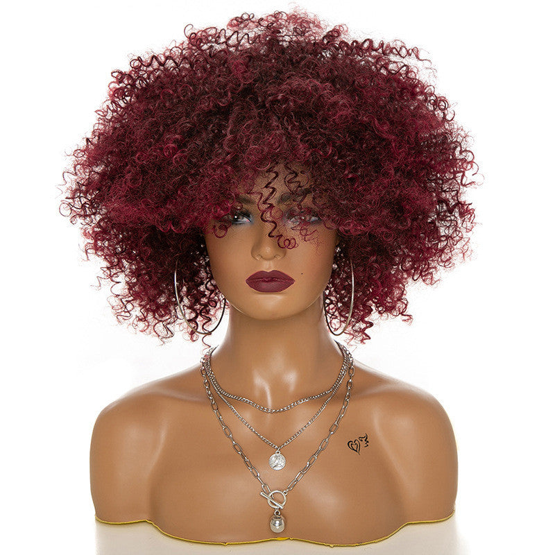 Perruques Afro Kinky Curly