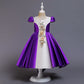 Robe de soirée brodée et moelleuse, robe de princesse, costume de maternelle, robe pour fille