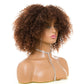 Perruques Afro Kinky Curly