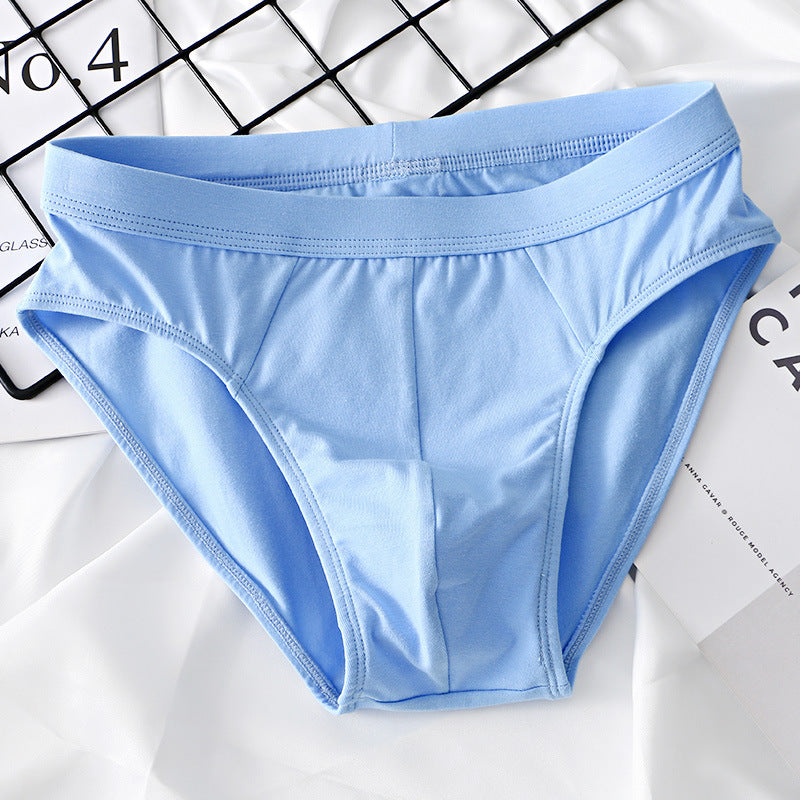 Slip en coton à la mode pour hommes