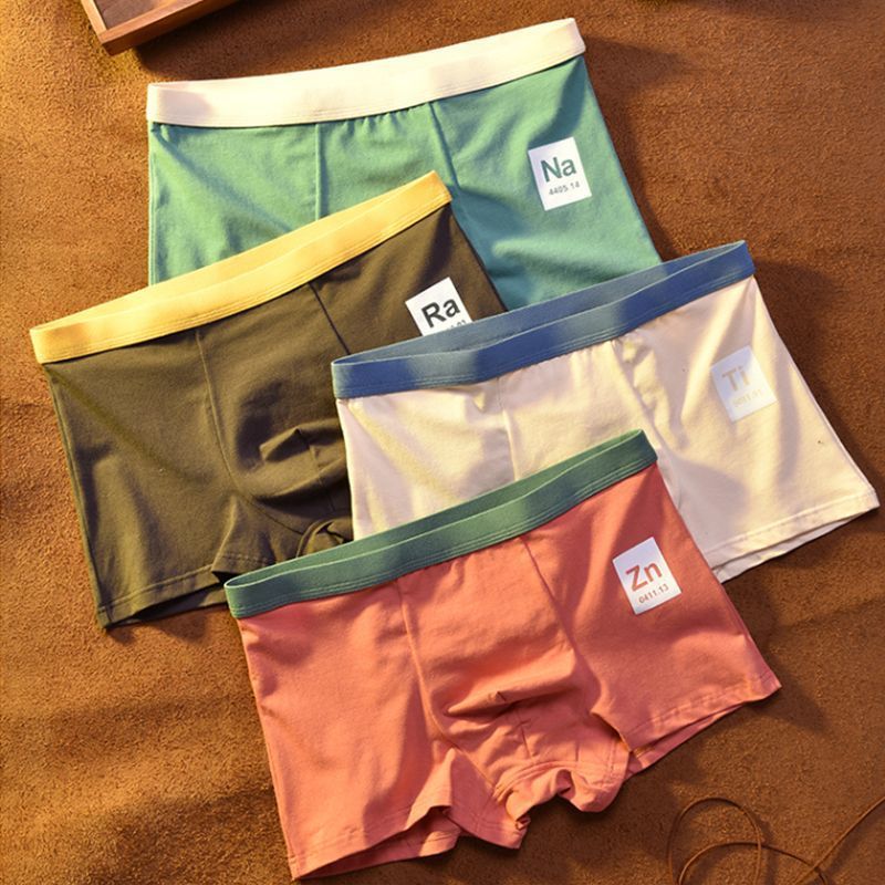 Boxer homme