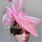 Chapeau Fascinateur Pillbox Élégant - Accessoire de Mariage et Dîner