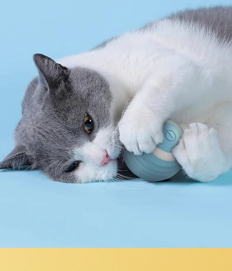 Balle Interactive Intelligente pour Chat – Jouet Automatique à Roulement