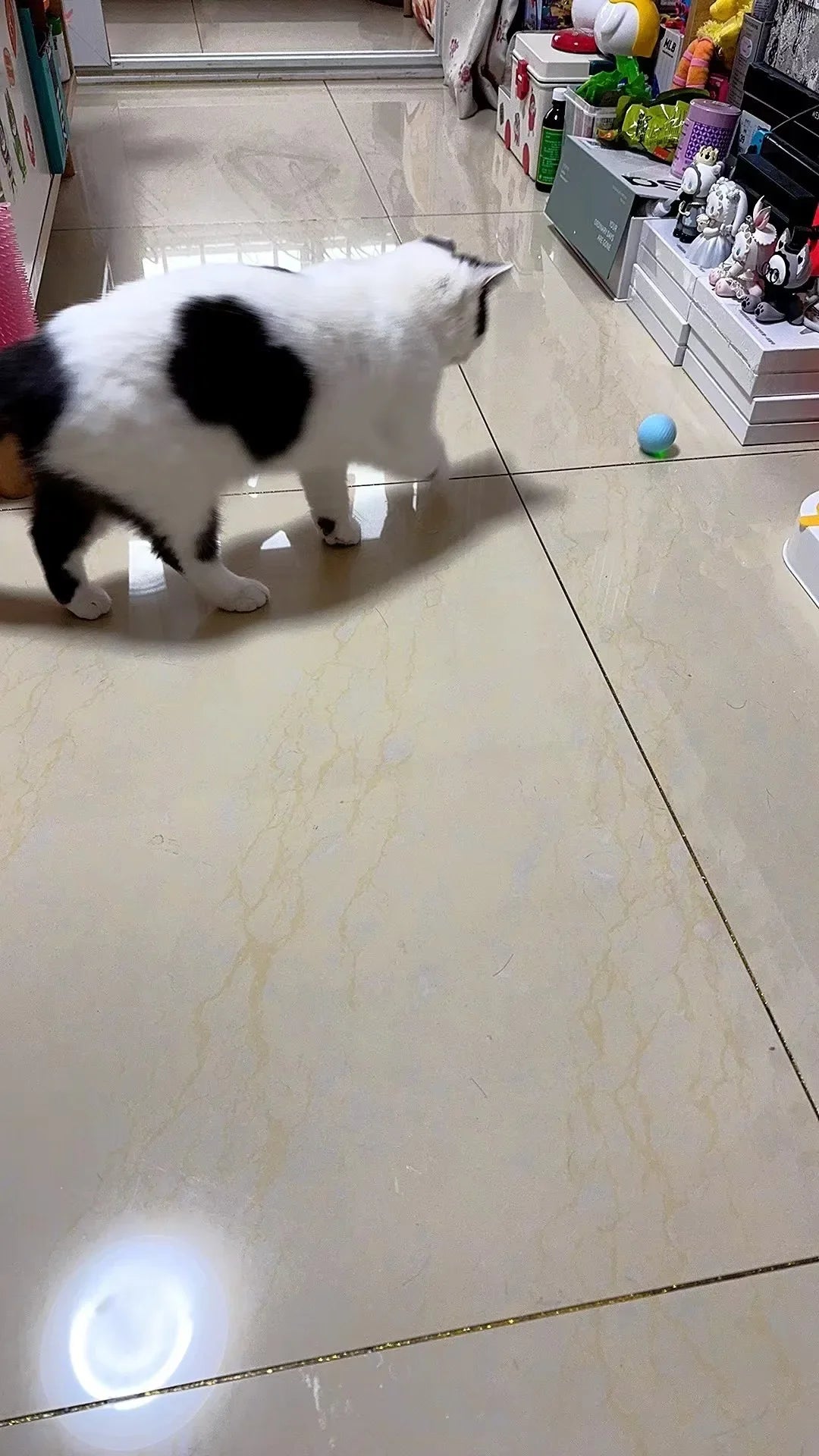 Balle Interactive Intelligente pour Chat – Jouet Automatique à Roulement
