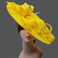 Chapeau Fascinator Kentucky Derby – Élégance Fleurie & Plumes