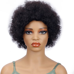 Perruque Afro Kinky Curly Court - Cheveux Humains Naturels