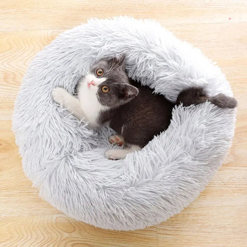 Lit Chaleur pour Chat – Douillet, Coussin Confort pour Animaux