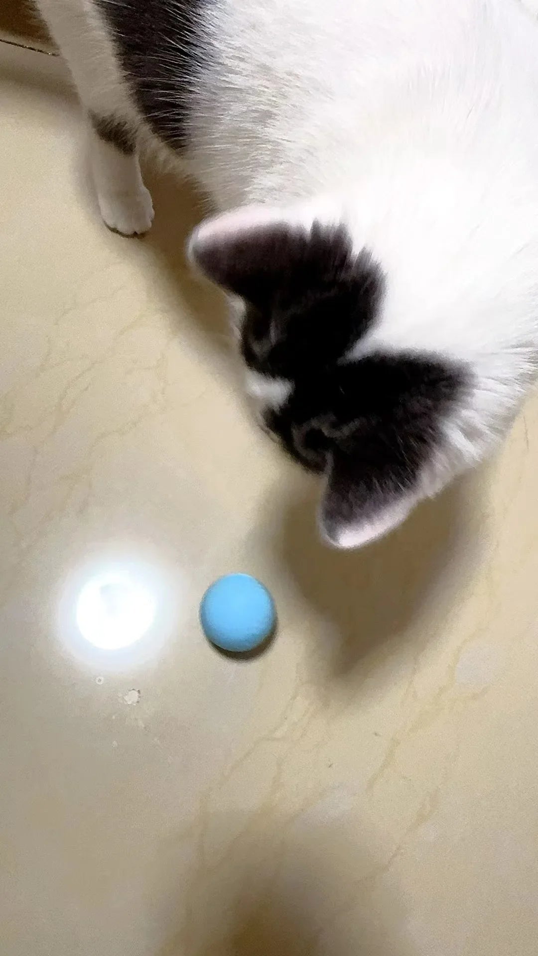 Balle Interactive Intelligente pour Chat – Jouet Automatique à Roulement