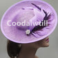 Fascinateur de Mariage Violet Clair, Clip pour Cheveux