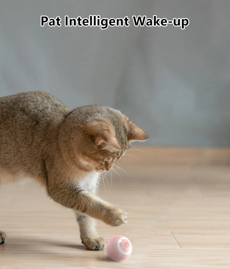 Balle Interactive Intelligente pour Chat – Jouet Automatique à Roulement