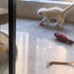 Balle Interactive Intelligente pour Chat – Jouet Automatique à Roulement