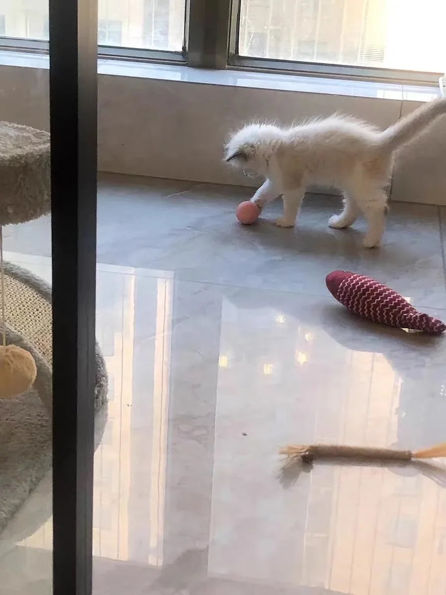 Balle Interactive Intelligente pour Chat – Jouet Automatique à Roulement