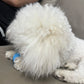 Balle Interactive Intelligente pour Chat – Jouet Automatique à Roulement