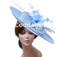 Grand Chapeau Fascinator avec Plumes – Élégance Derby, Mariage & Cérémonie