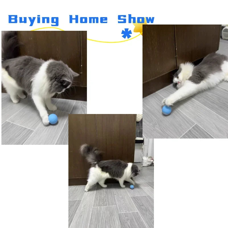 Balle Interactive Intelligente pour Chat – Jouet Automatique à Roulement