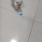 Balle Interactive Intelligente pour Chat – Jouet Automatique à Roulement