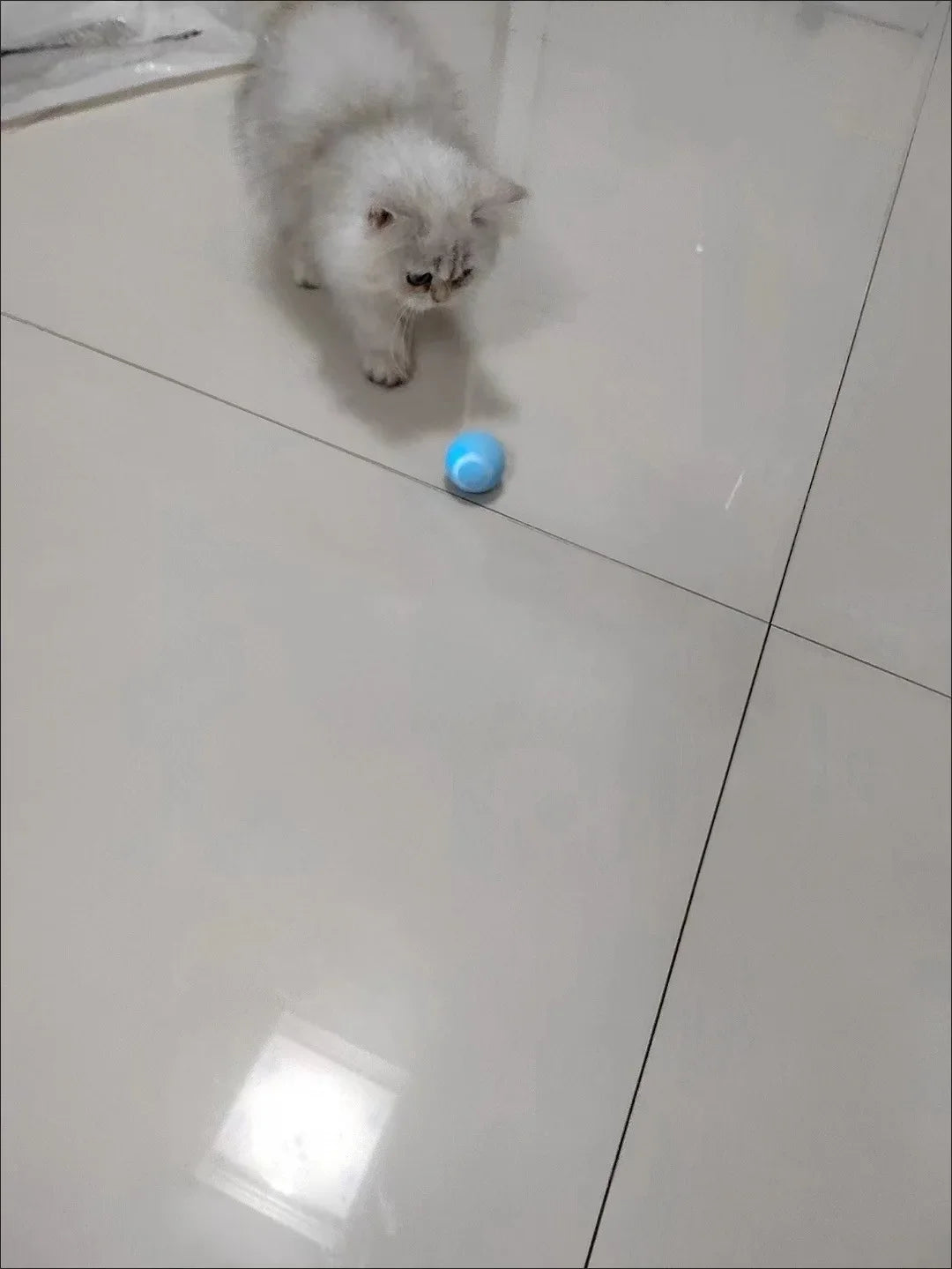 Balle Interactive Intelligente pour Chat – Jouet Automatique à Roulement