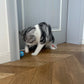 Balle Interactive Intelligente pour Chat – Jouet Automatique à Roulement