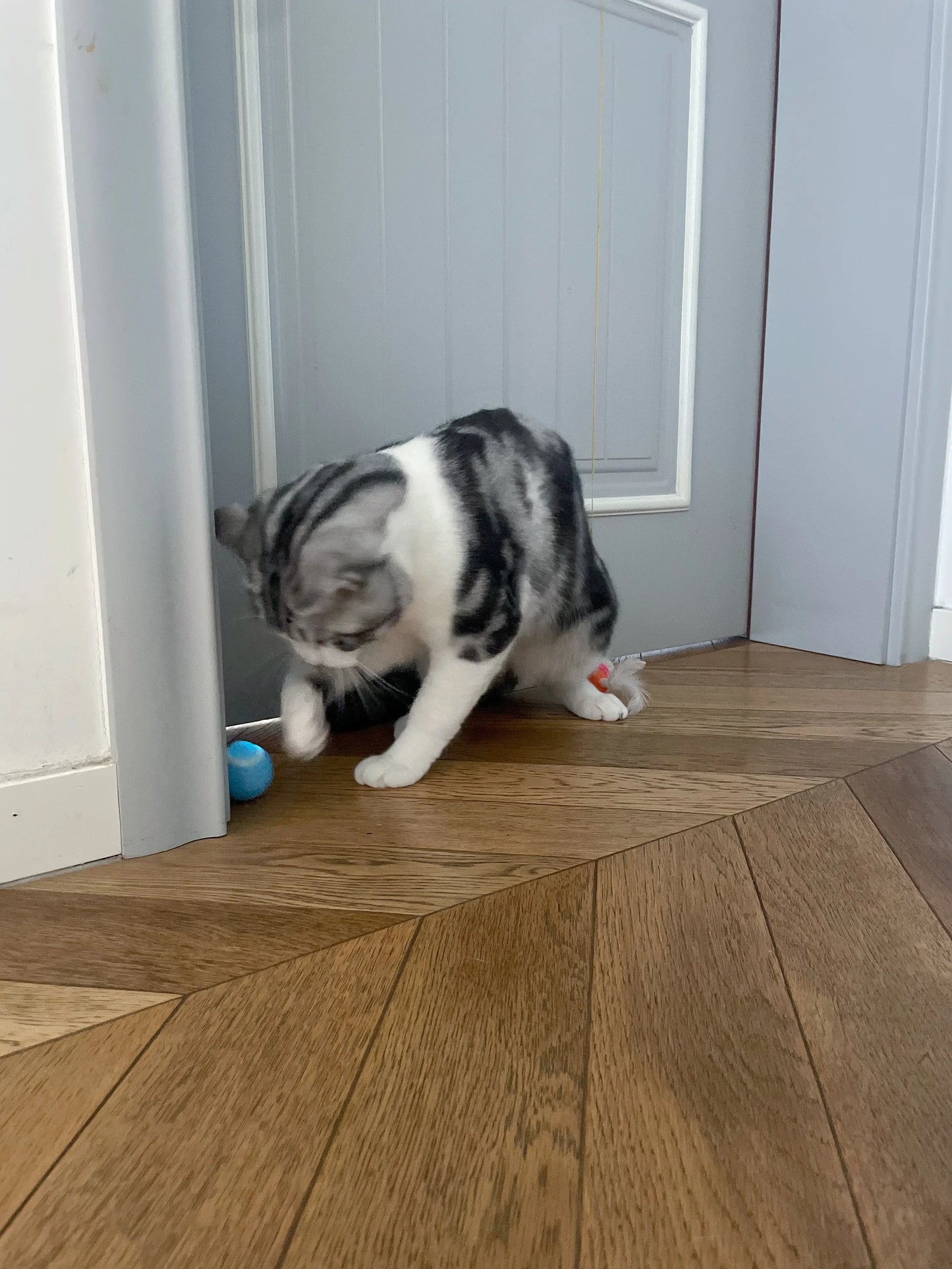 Balle Interactive Intelligente pour Chat – Jouet Automatique à Roulement