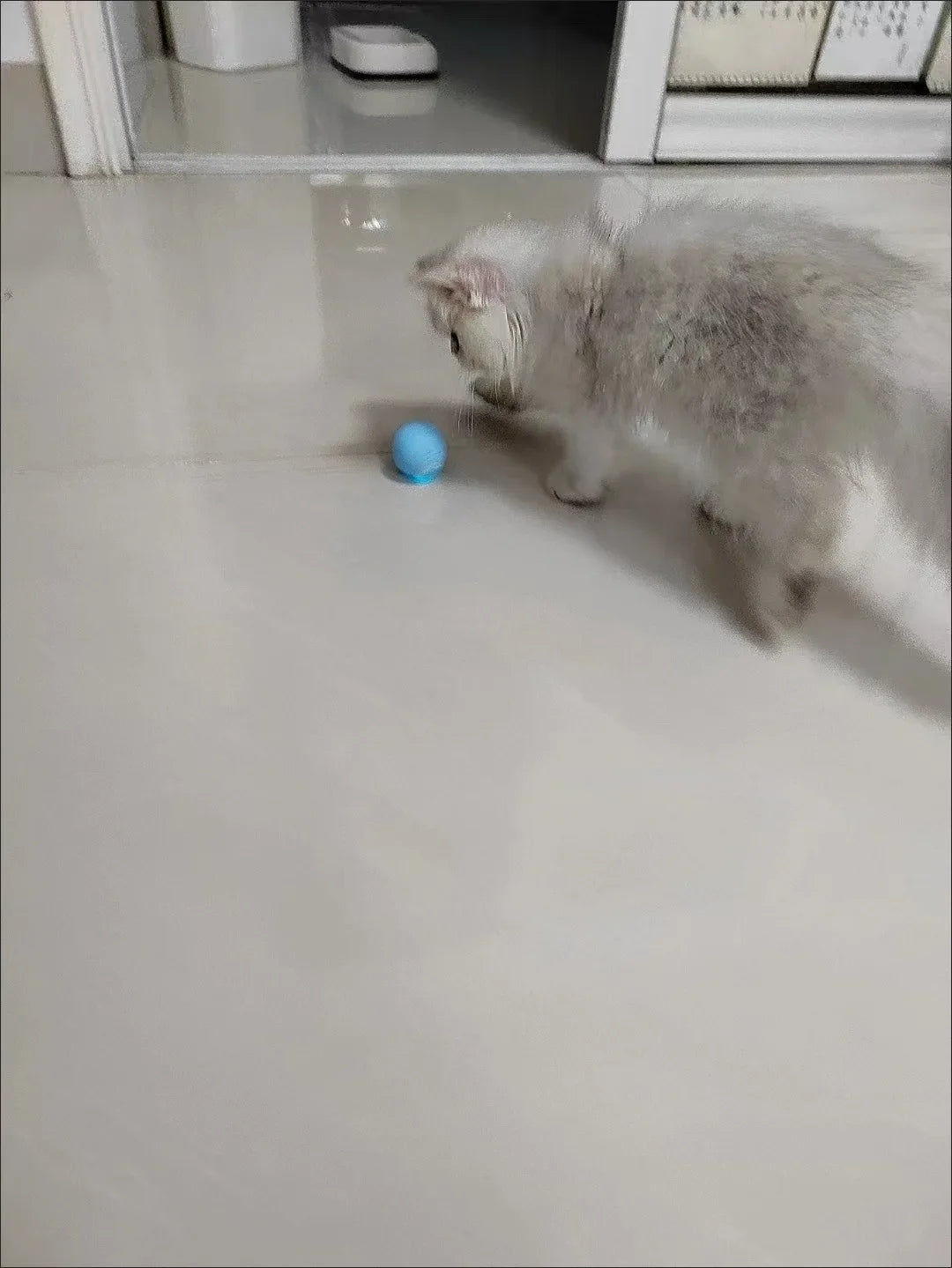 Balle Interactive Intelligente pour Chat – Jouet Automatique à Roulement