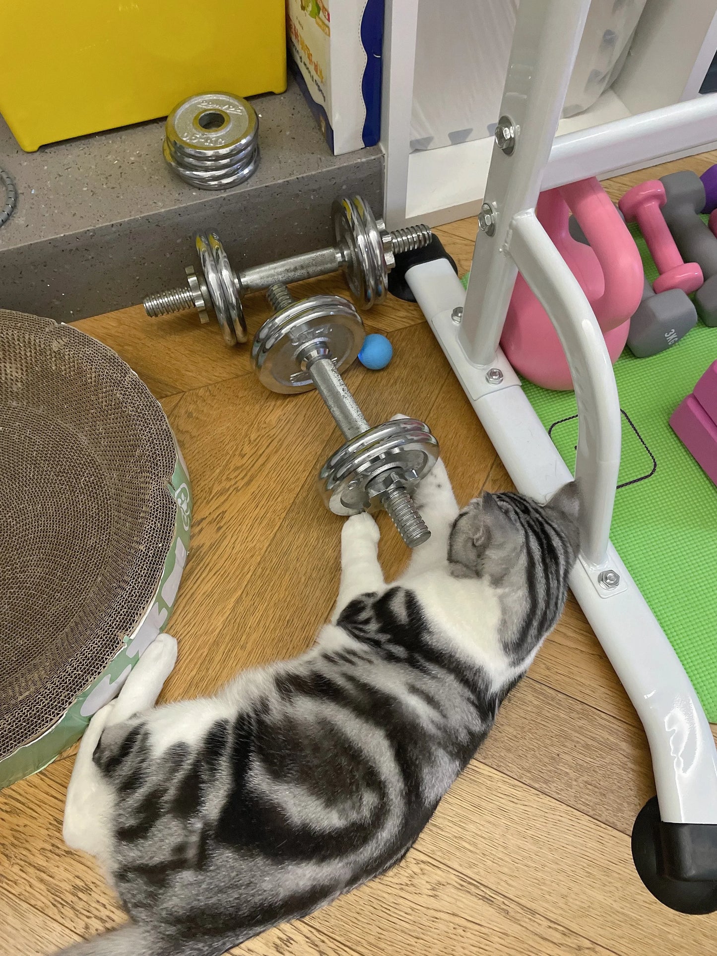 Balle Interactive Intelligente pour Chat – Jouet Automatique à Roulement