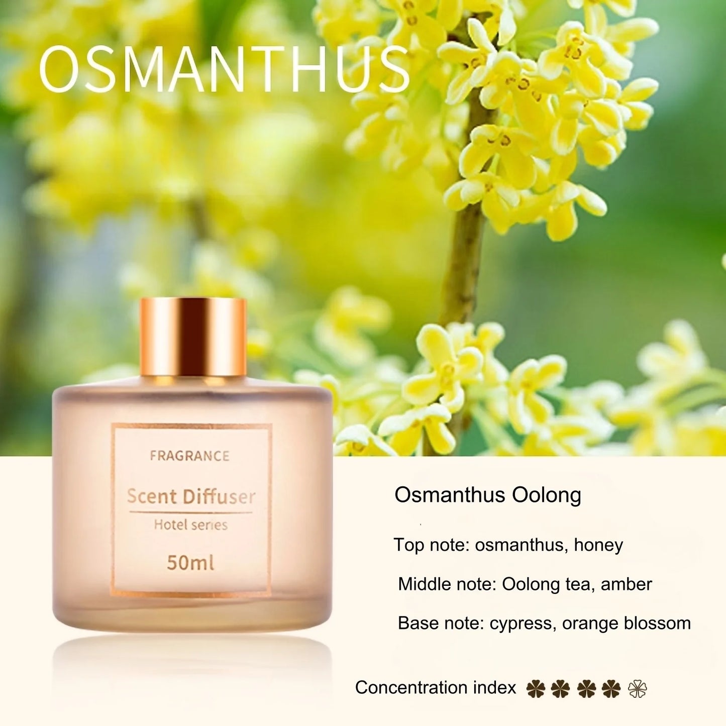 Bouteille Froissée avec Branches de Rotin – Diffuseur Sans Feu, Parfum Durable