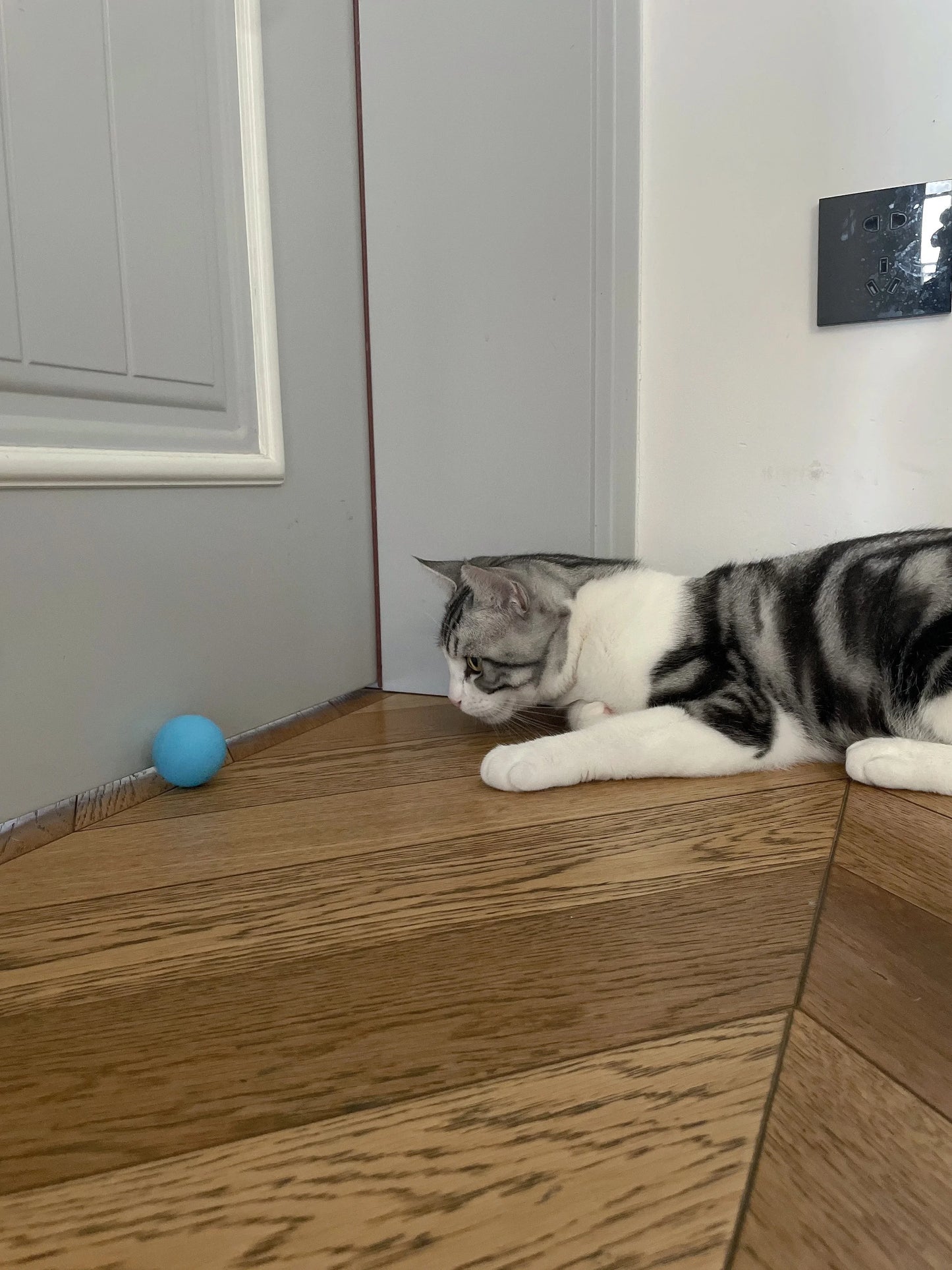 Balle Interactive Intelligente pour Chat – Jouet Automatique à Roulement
