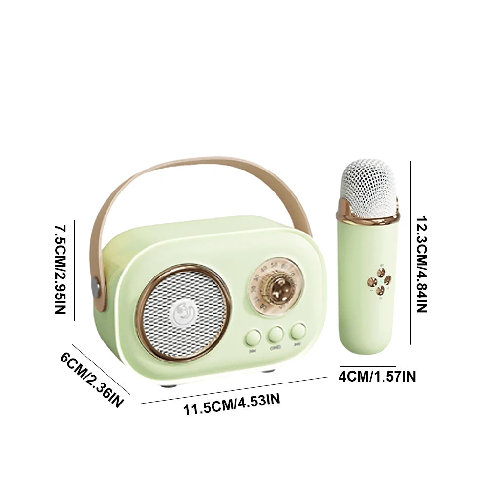 Mini Haut-parleur Bluetooth Karaoke sans fil