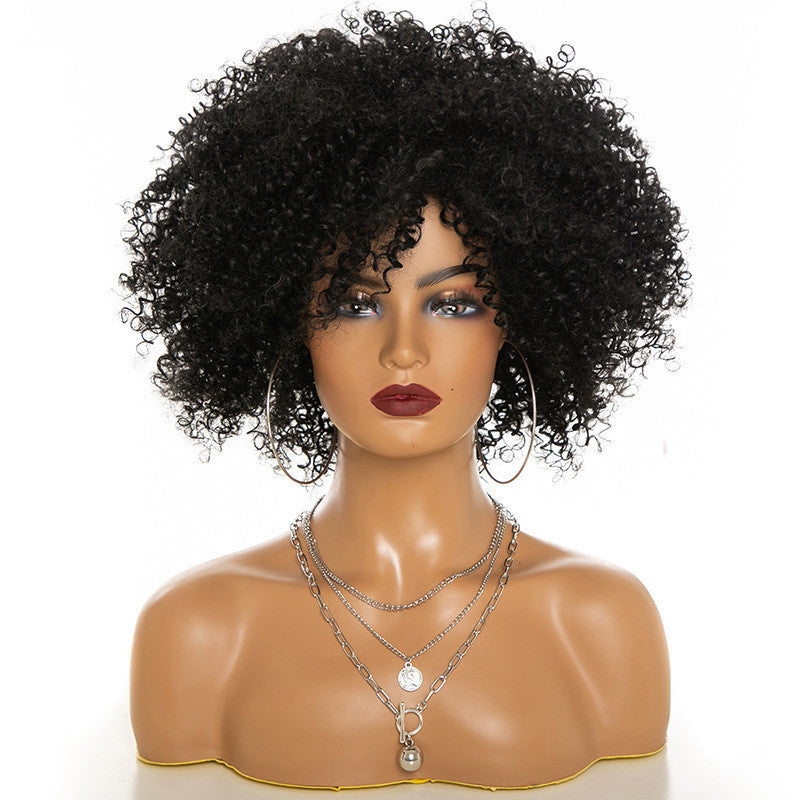 Perruques Afro Kinky Curly