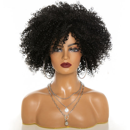 Perruques Afro Kinky Curly