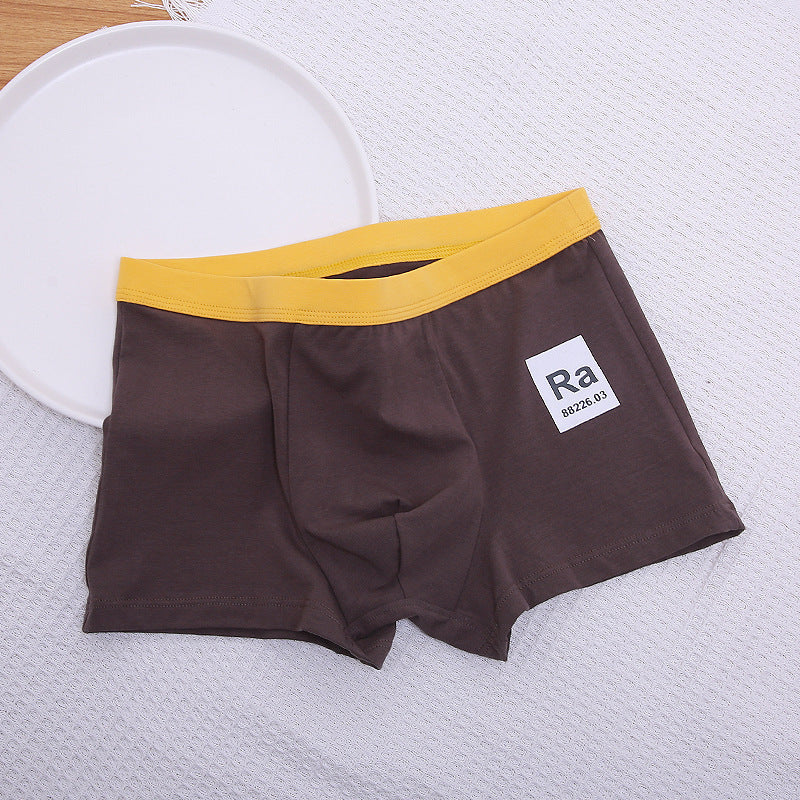 Boxer homme