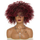 Perruques Afro Kinky Curly