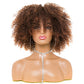 Perruques Afro Kinky Curly