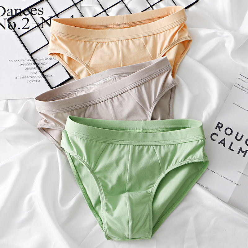 Slip en coton à la mode pour hommes